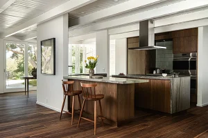 Chu Gooding Veneklasen House 2 300x200