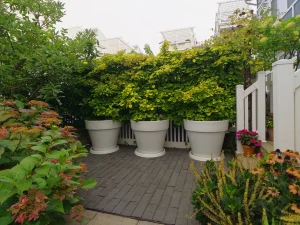 David Kennedy Architect Landscape 300x225