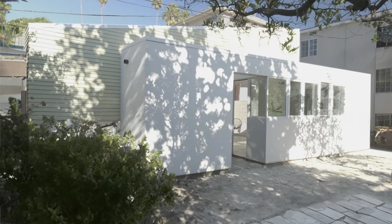 LEX 02 1200 72 DPI copy 768x439