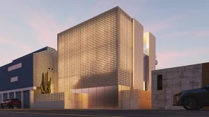 LasFlores Cam001 s 300x169